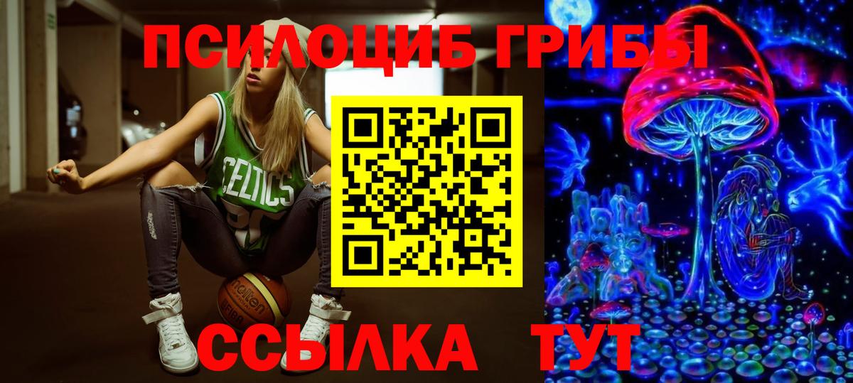 Псилоцибиновые грибы Cubensis  Галлюциногенные грибы Cubensis  Вход с VPN  Павловский Посад 